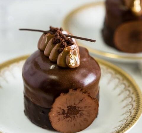 Tiramisu Cup